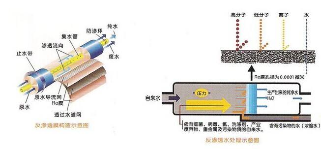 全自动RO粉色视频网址